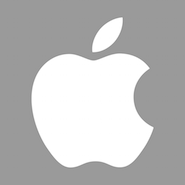 Apple gray LOGO