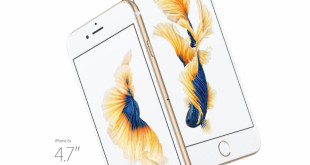Quale iPhone 6S 6S Plus acquistare_
