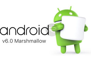 dispositivi Android compatibili con Marshmallow 6.0
