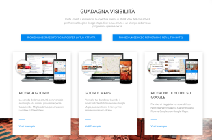 Google Maps Business View