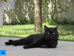 recensione Canon IXUS 285 HS