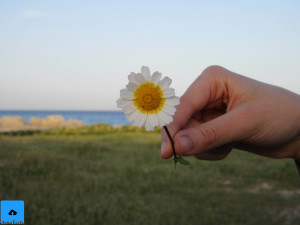foto canon ixus 285 hs