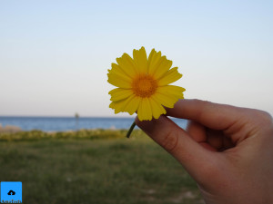 foto canon ixus 285 hs