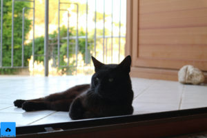 canon eos m10 foto