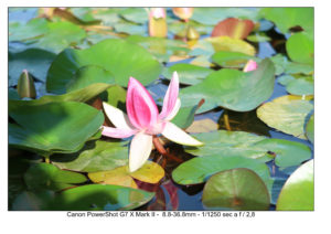 foto canon Powershot G7x Mark II