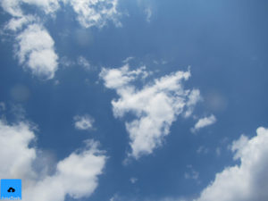 canon powershot