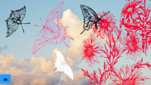 azioni-photoshop-inkydeals-foto-farfalle