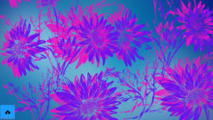 azioni-photoshop-inkydeals-foto-fluo
