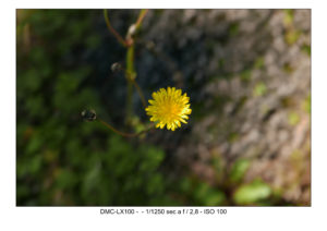 Footage LX100