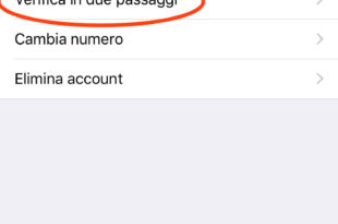 guida WhatsApp e la verifica in 2 passaggi