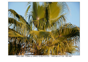 footage LUMIX G80