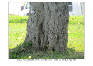foto canon sx420 IS
