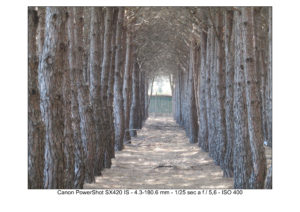 foto canon sx420 IS