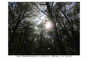 foto canon sx420 IS