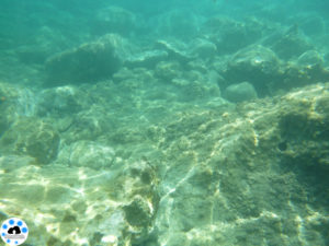 test LUMIX FT30