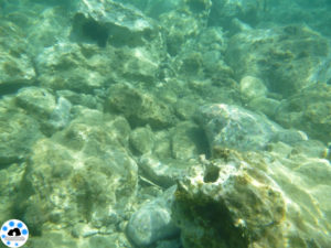 test LUMIX FT30