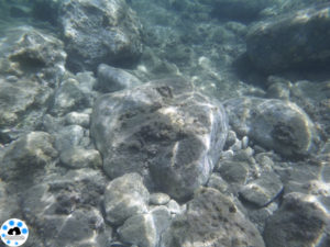 test LUMIX FT30