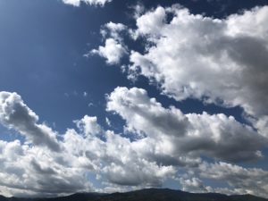 foto iPhone 8 Plus test