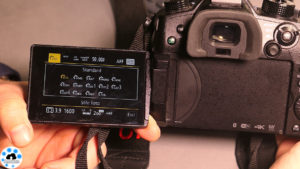 Panasonic GH5
