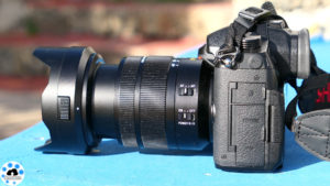 mirrorless GH5