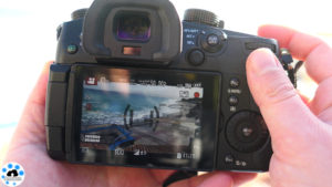 mirrorless professionale