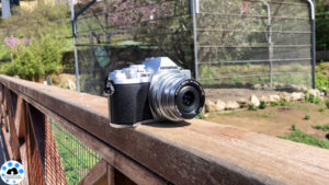 olympus OM-D E-M10 mark 3