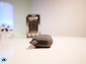 AirPods Catalyst