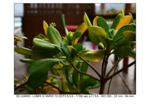 test Foto GX800 12-32mm