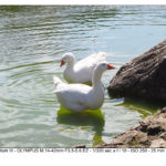 Olympus M10 mk3 test