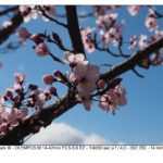 Olympus M10 mk3 test