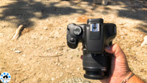 Canon EOS 4000