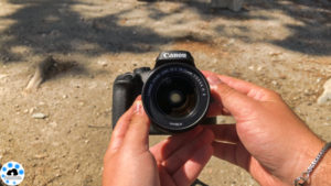 canon EOS reflex