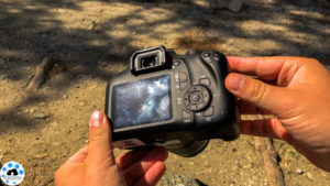 canon EOS reflex