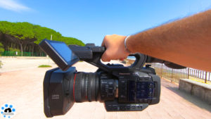 videocamera 4k prosumer
