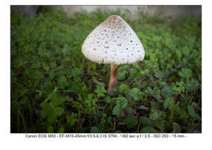 foto canon EOS M50