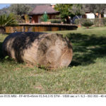 test foto canon EOS M50