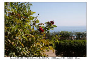 test foto canon EOS M50