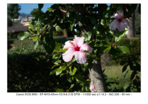 test foto canon EOS M50